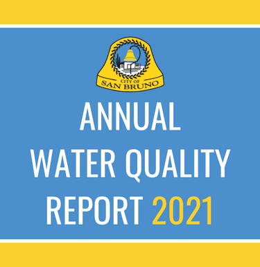 ANNUAL WATER QUALITY REPORT 2021 